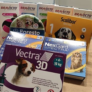 Nezabúdajte na správnu prevenciu proti kliešťom