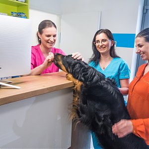 Sme tu pre vaše zvieratká vždy, keď nás potrebujú