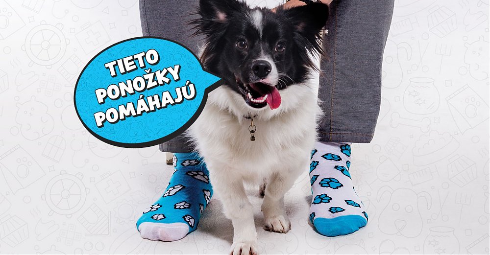 Veľká vianočná zbierka